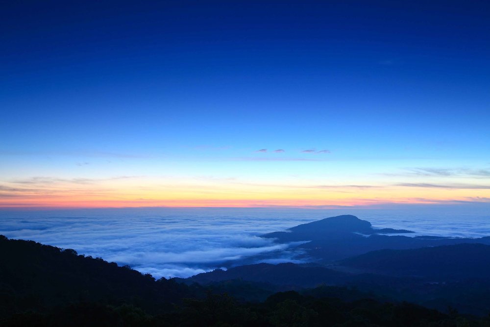 ขอบคุณรูปภาพจาก อุทยานแห่งชาติดอยอินทนนท์ Doi Inthanon National Park l ไปเที่ยวเชียงใหม่ พร้อนสัมผัสเส้นทางศึกษาธรรมชาติ เต็มไปด้วยต้นไม้ ป่าไม้ มอส เฟิร์น หลากหลายสายพันธุ์ อุดมสมบูรณ์ไปด้วยความเขียวขจี เปิดให้เข้าชมแล้ว 