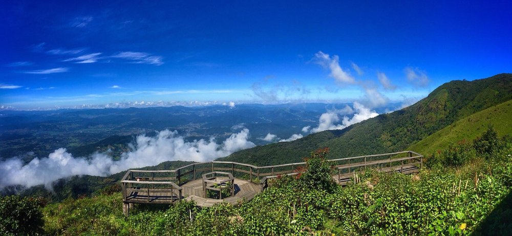 ขอบคุณรูปภาพจาก อุทยานแห่งชาติดอยอินทนนท์ Doi Inthanon National Park l ไปเที่ยวเชียงใหม่ พร้อนสัมผัสเส้นทางศึกษาธรรมชาติ เต็มไปด้วยต้นไม้ ป่าไม้ มอส เฟิร์น หลากหลายสายพันธุ์ อุดมสมบูรณ์ไปด้วยความเขียวขจี เปิดให้เข้าชมแล้ว 