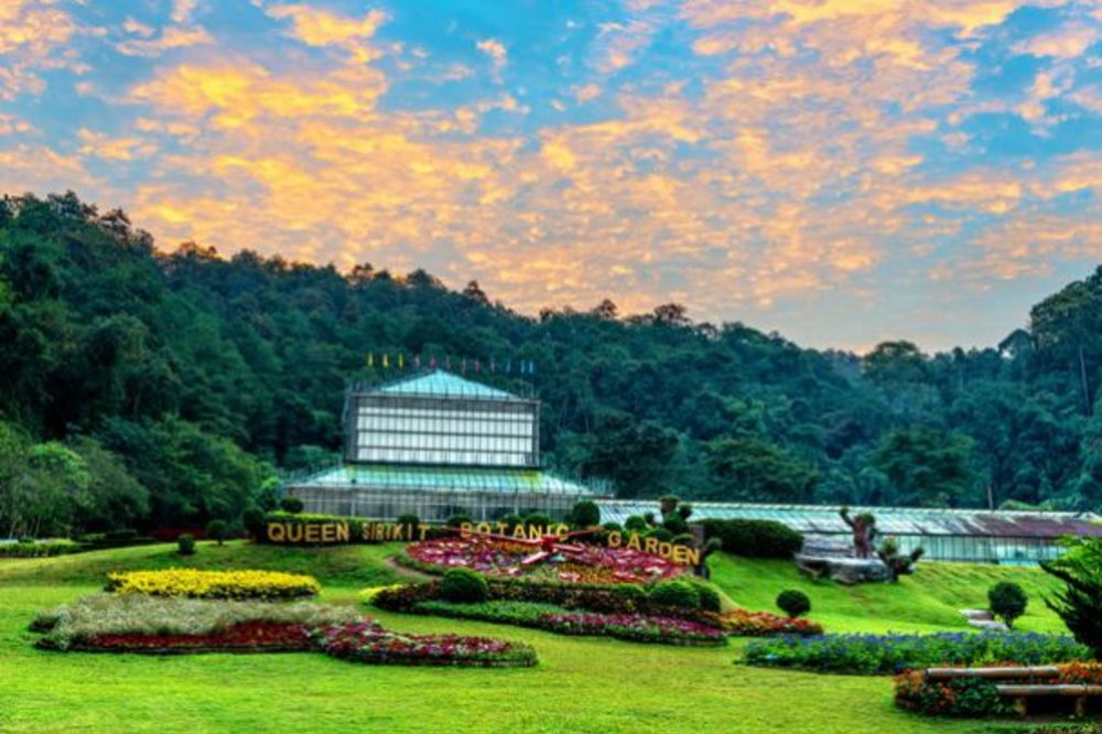 ขอบคุณรูปภาพจาก Museum Thailand  l สวนพฤกษศาสตร์สมเด็จพระนางเจ้าสิริกิติ์ ที่เที่ยวเชียงใหม่ในเมือง ตั้งอยู่ใจกลางเมือง จังหวัดเชียงใหม่ ถ่ายรูป แวะเช็คอิน
