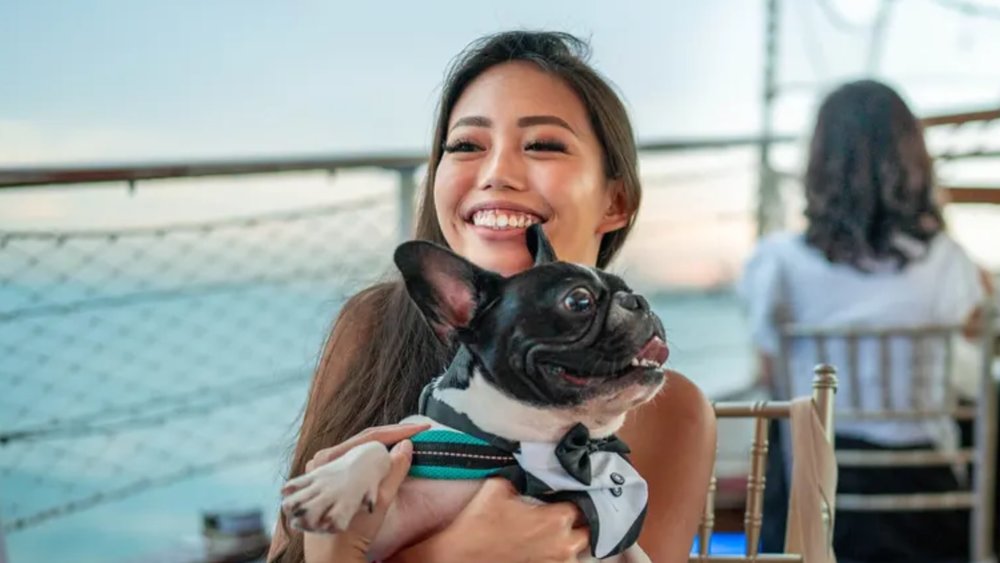 Royal Albatross is a pet-friendly yacht!