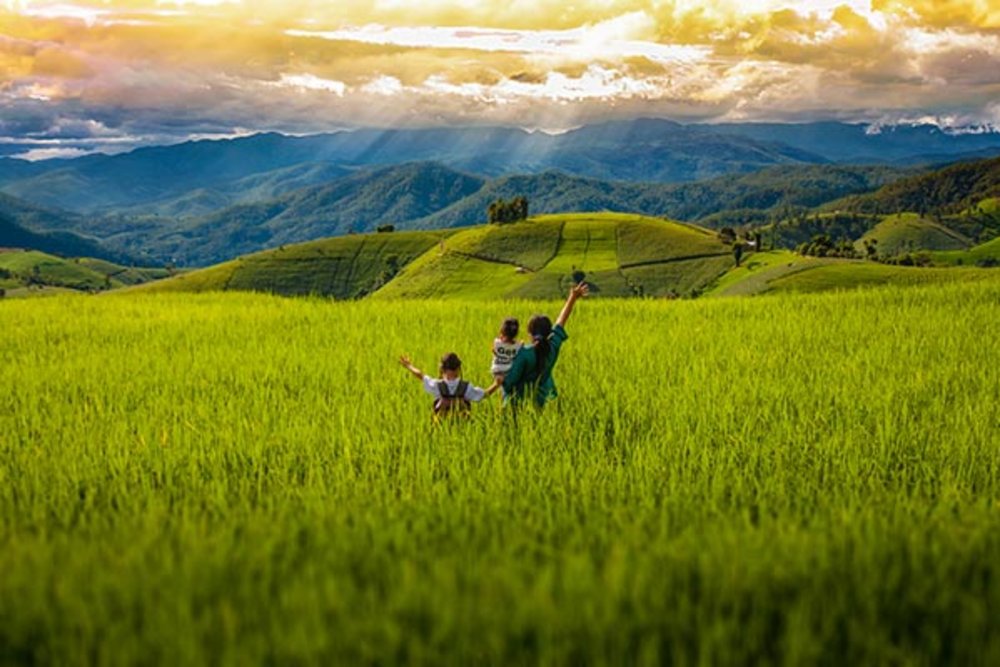 ขอบคุณรูปภาพจาก travel.kapook l ที่เที่ยวเชียงใหม่ที่นี่ ให้นักท่องเที่ยวได้เที่ยวชม ถ่ายรูป นาขั้นบันไดสวยๆ สถานที่ท่องเที่ยวที่มีความอุดมสมบูรณ์ตลอดทั้งปี สัมผัสธรรมชาติที่หาที่ไหนไม่ได้