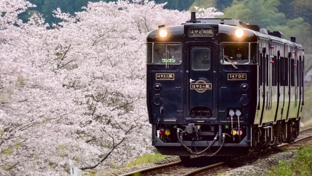 Ride through landscapes blessed with flora on the Hisatsu Line.  Credits: @t.fukudome8 on Instagram