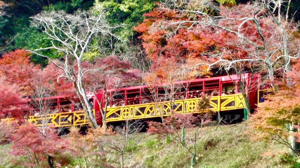 This scenic train comes with a spritz of nostalgia.  Credits: @kamaaachan on Instagram
