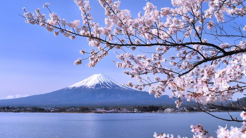 See Lake Kawaguchiko and Mt. Fuji in one go using your Tokyo Wide Pass! Credits: Klook
