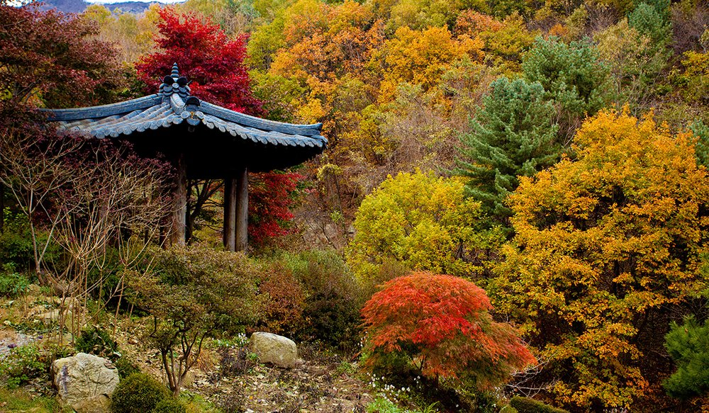 Garden Of Morning Calm