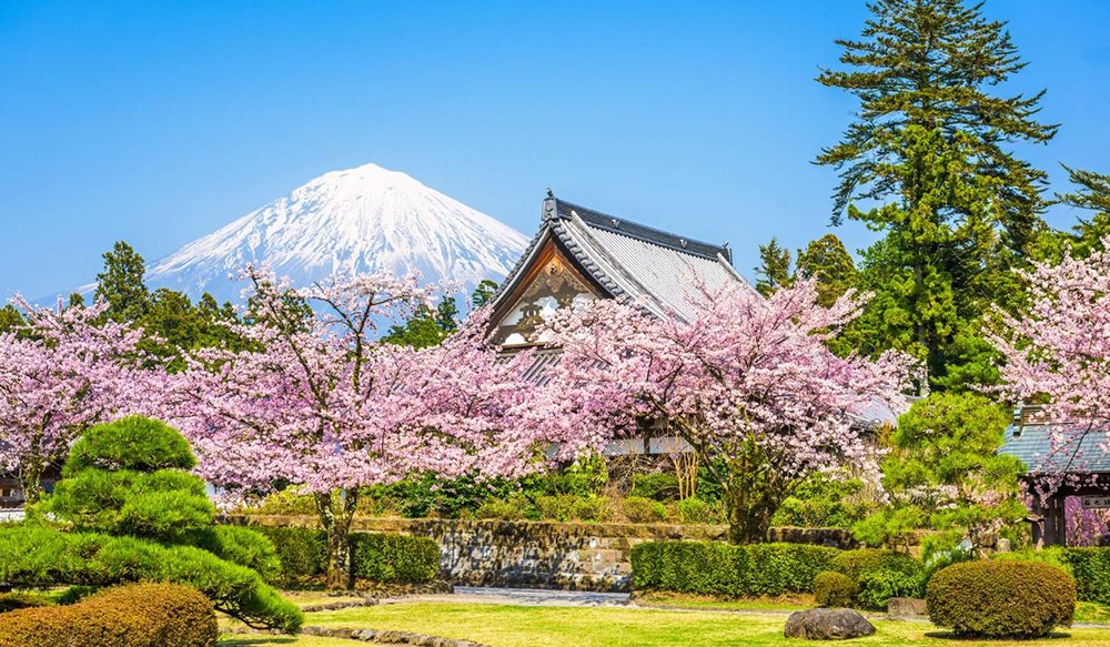 kinh-nghiem-du-lich-nhat-ban-6-ngay-5-dem