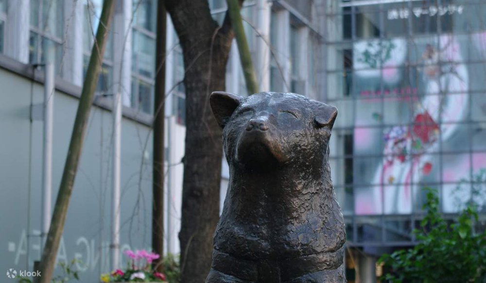 review-du-lich-nhat-ban-6-ngay-5-dem