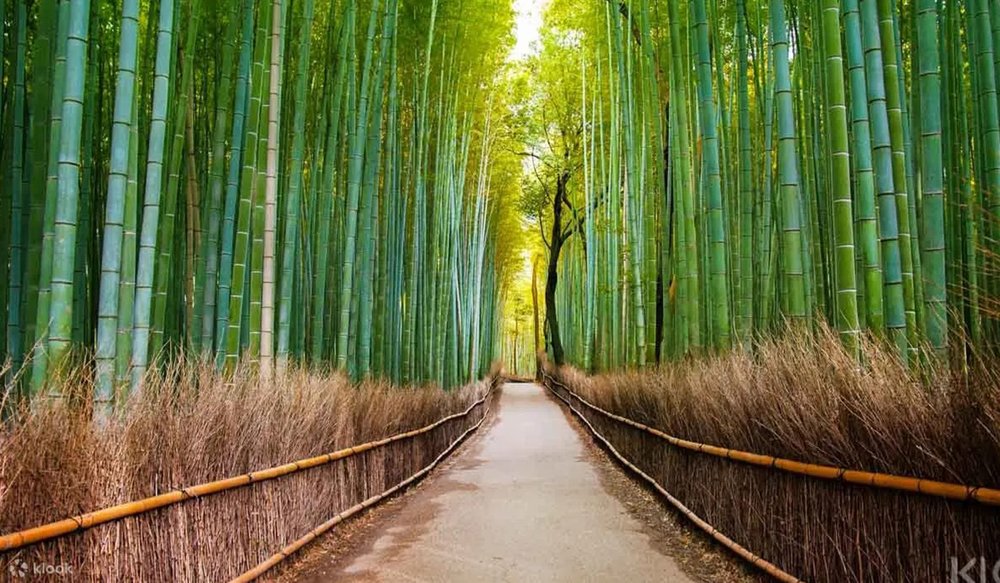 du-lich-nhat-ban-6-ngay-5-dem