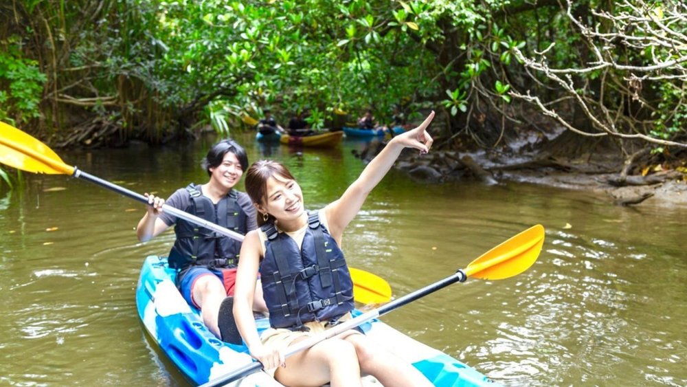 Explore the mangrove forests of Okinawa. Credits to @activityjapan on Instagram
