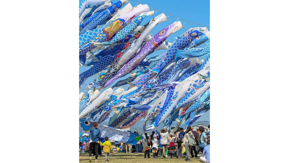 carp streamers golden week japan