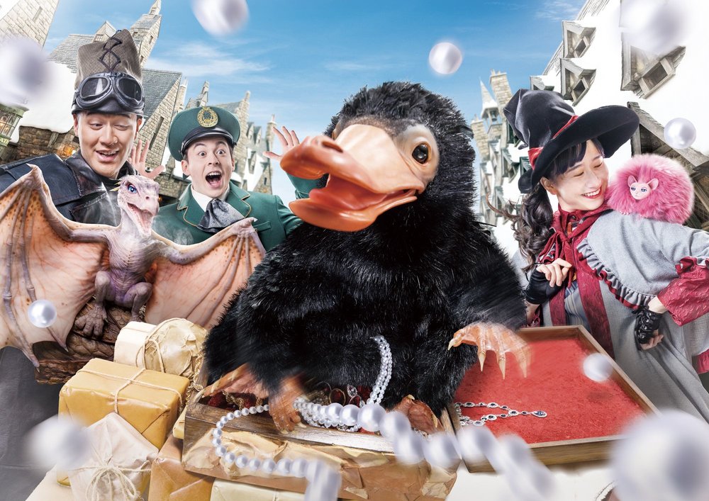 Сказочные сады фэнтези. Magical meeting. Universal studios japan. Сад фэнтези. Wizard cookie art.