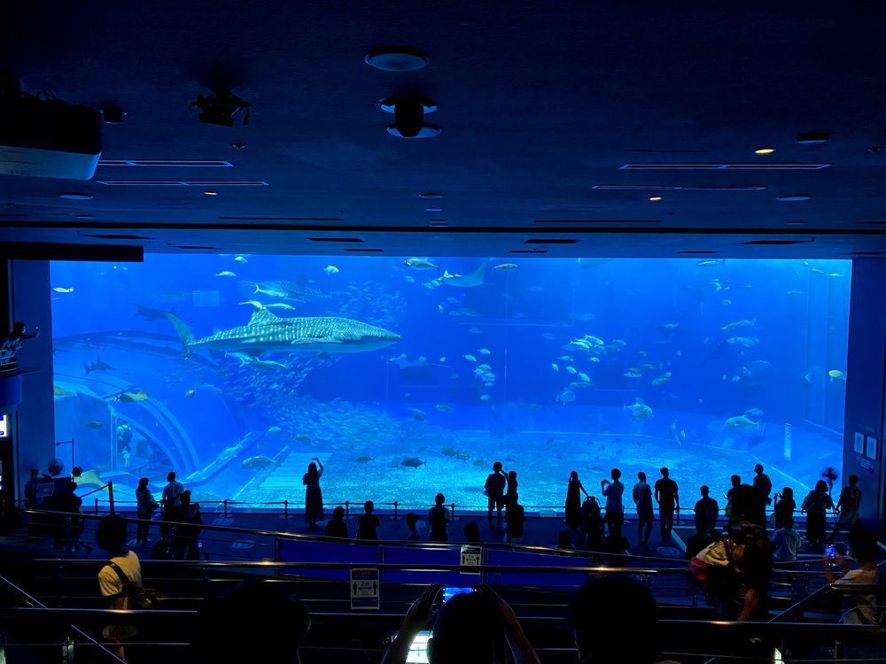 Okinawa Churaumi Aquarium in Ocean Expo Park