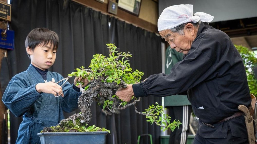 Children and adults alike can have fun learning about bonsai. Credits to @benjaminbeech on Instagram.