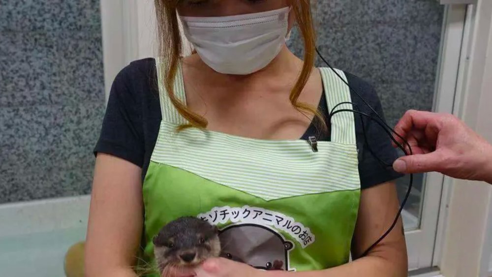 You can’t help but swoon at the adorable animals!