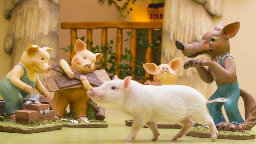 Have you ever seen anything cuter?