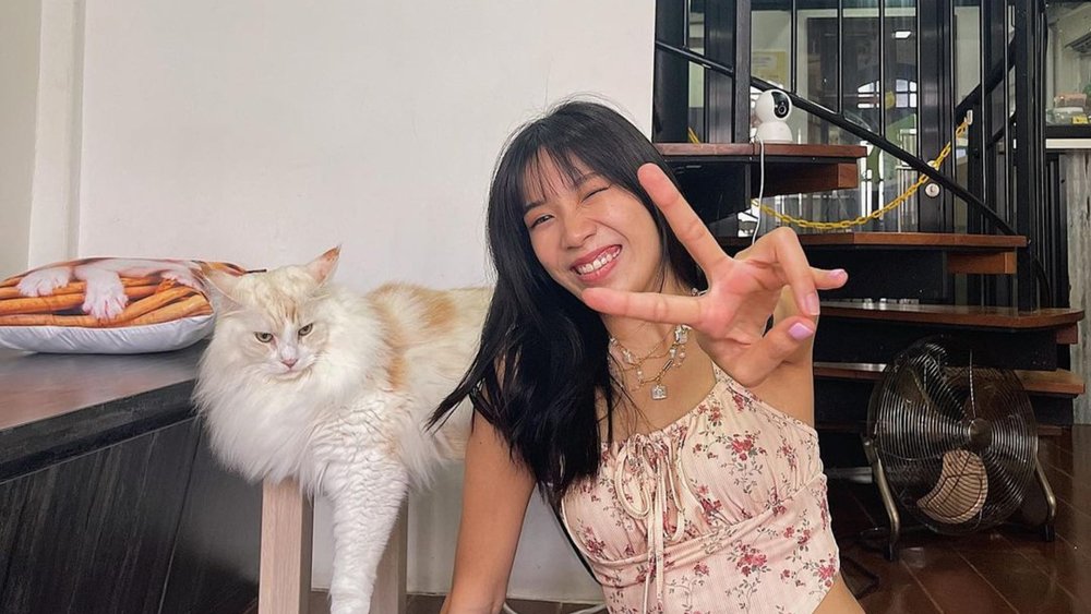 Meet and get to know all the cats and their personalities! Credits: @sabbwie on Instagram