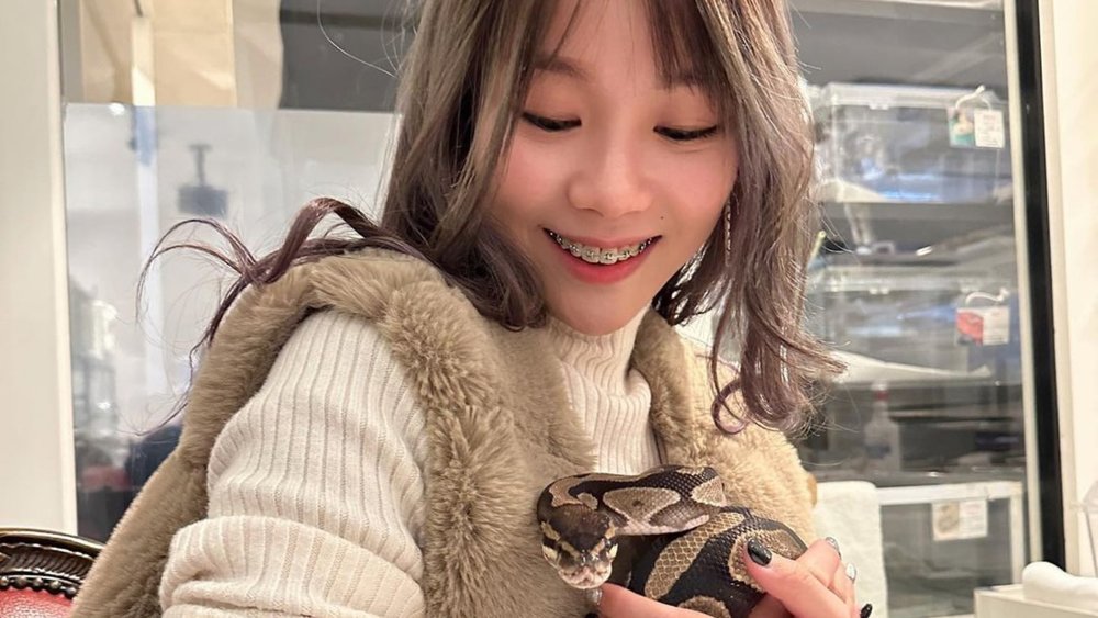  Sssssavor every moment of this unique experience! Credits: amyng0708 on Instagram