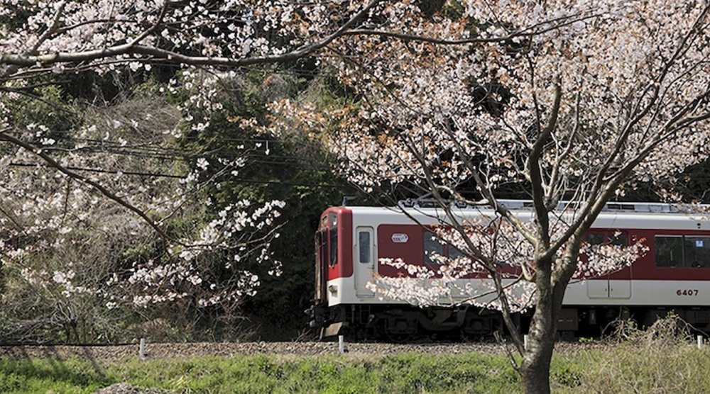 關西近鐵電車周遊券