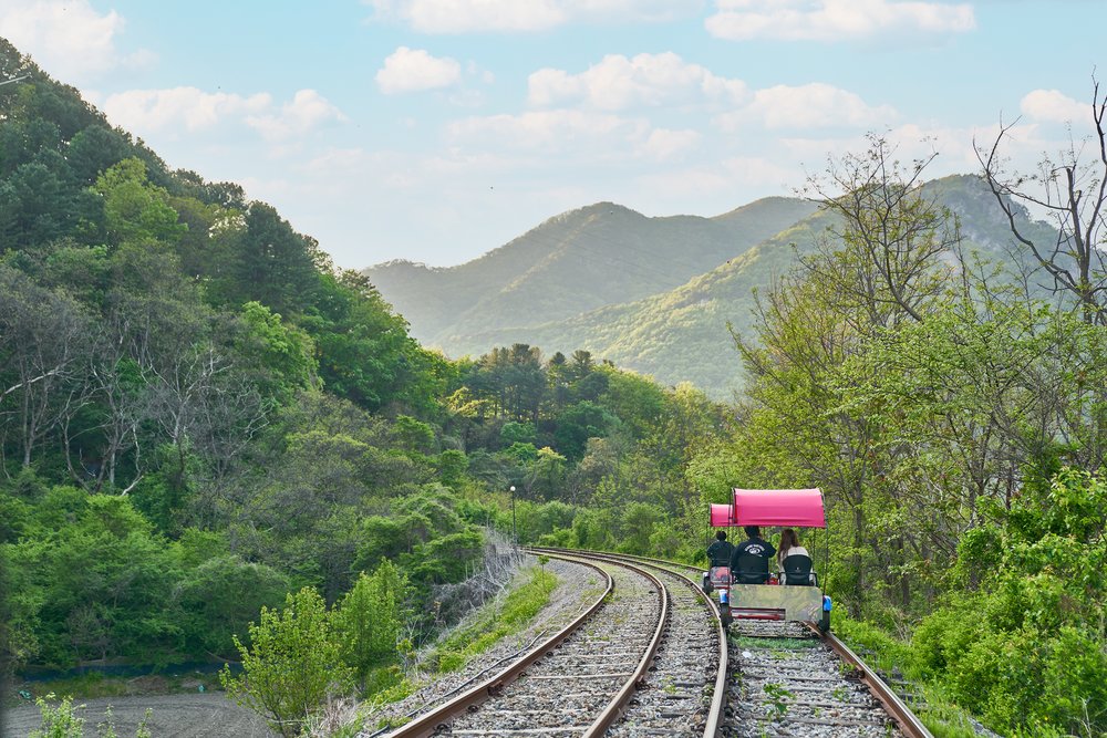 train tracks in the forest