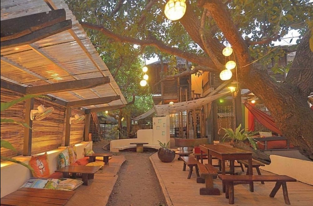 Lazy Dog Bed & Breakfast hang out area