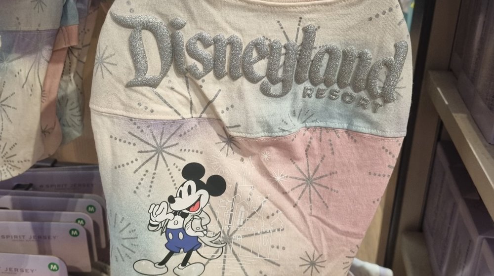 你最愛的寵物也可以穿上屬於它們的迪士尼 100 週年Spirit Jerseys,實在太可愛了!