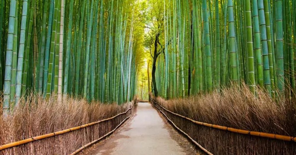 du-lich-nhat-ban-5-ngay-4-dem