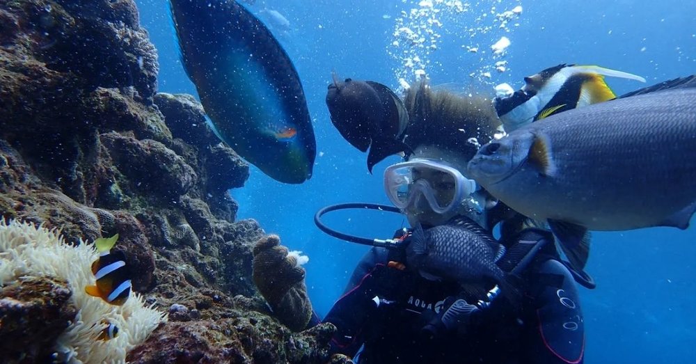 du-lich-okinawa-tu-osaka