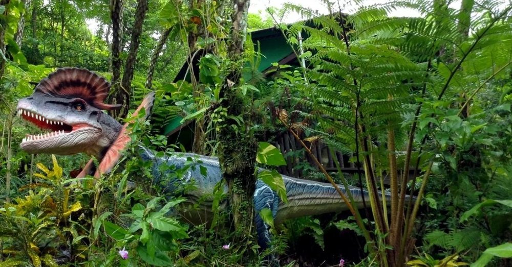 du-lich-okinawa-tu-osaka