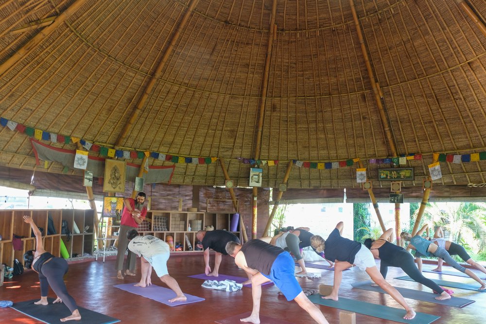 People stretching on yoga mats
