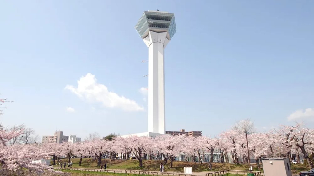 Goryokaku Tower with cherry blossoms
