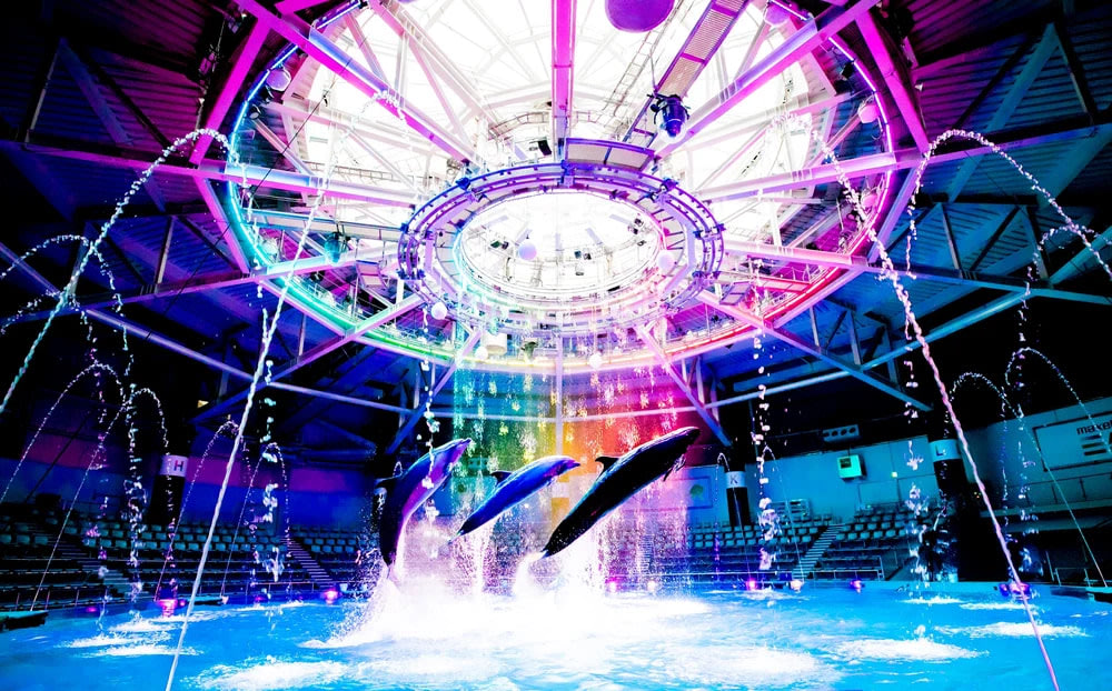 日本主題樂園 10大人氣主題公園、遊樂園推介 品川馬克賽爾水上公園 — 東京