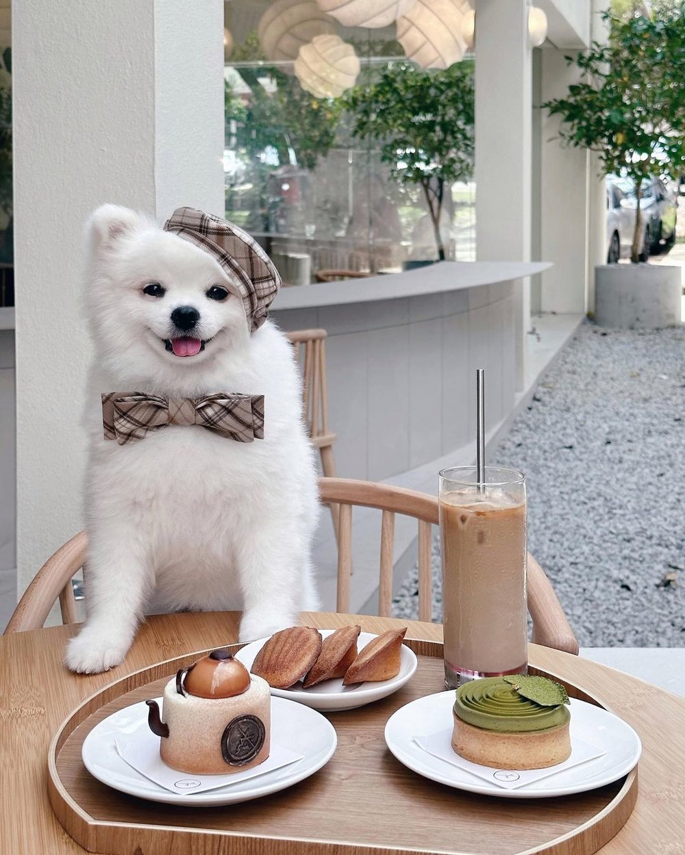 Xiao by crustz new cafe in PJ