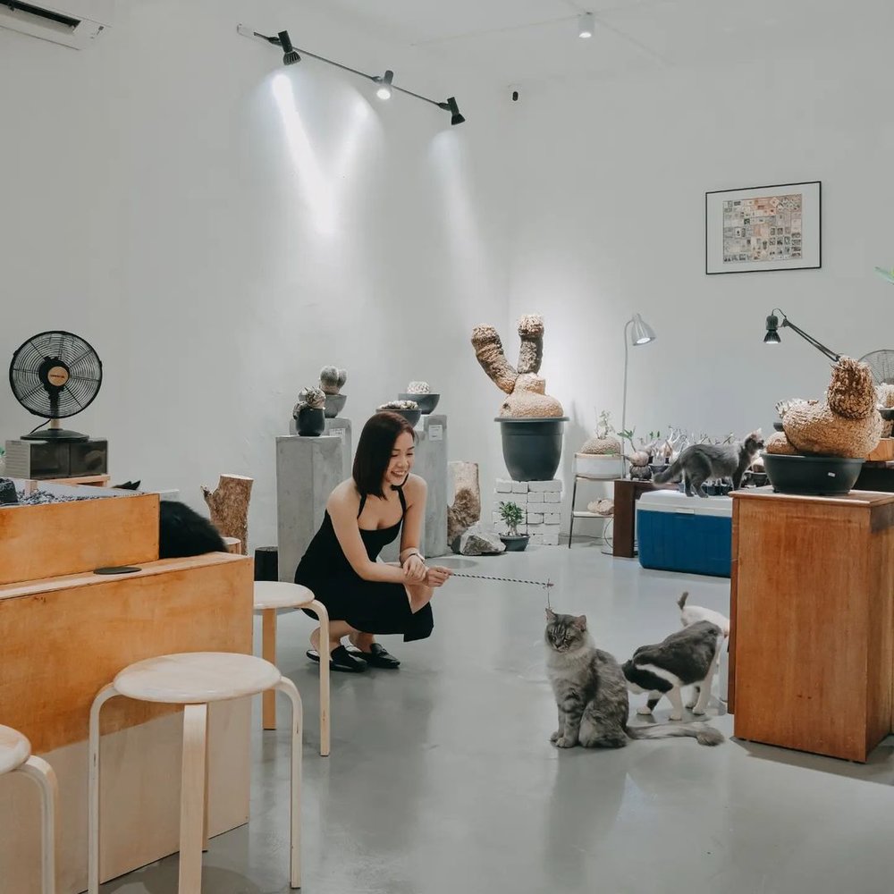 Spring Spring Cafe new cafe in PJ