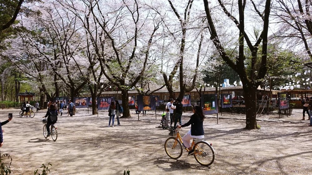 Riding a bike in Nami Island