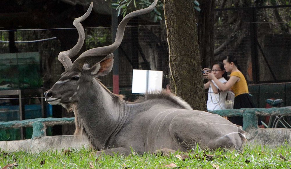 Vườn Bách Thú Khu Du Lịch Đại Nam
