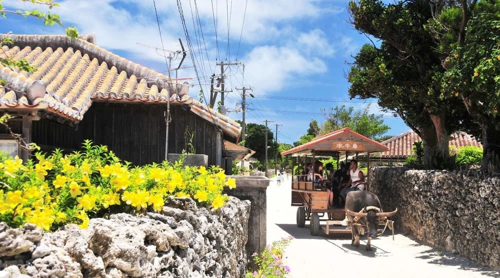 Taketomi Island Water Buffalo Cart Tour