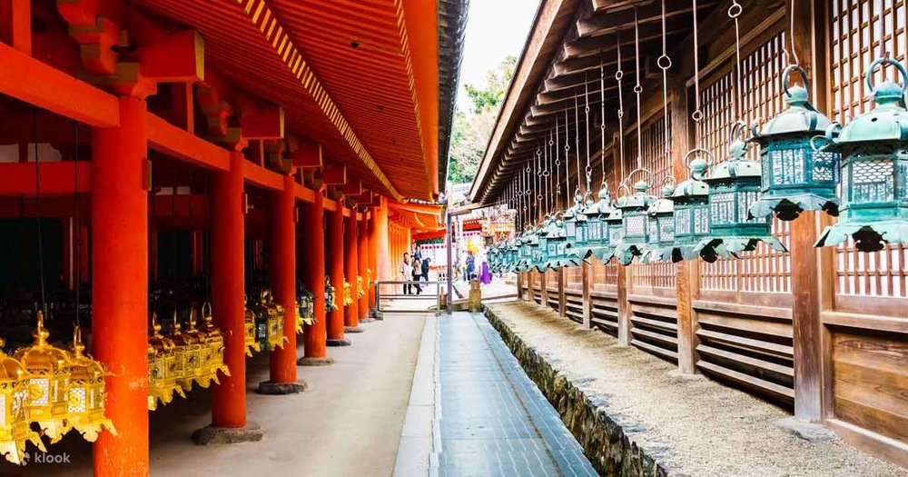 Nara Afternoon Tour from Osaka - Klook Canada