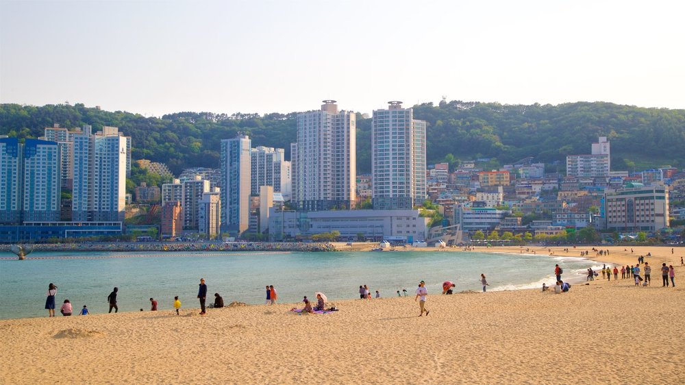 หาดซองโดในปูซาน ขอบคุณภาพจาก: https://www.expedia.co.th/Songdo-Beach-Busan.d6333066.Place-To-Visit