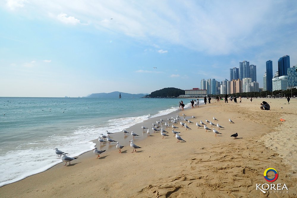 ชายหาด แฮอุนแด ปูซาน ขอบคุณภาพจาก: ลุงเด้ง ป้าไก่ กิน เที่ยวทั่วโลก