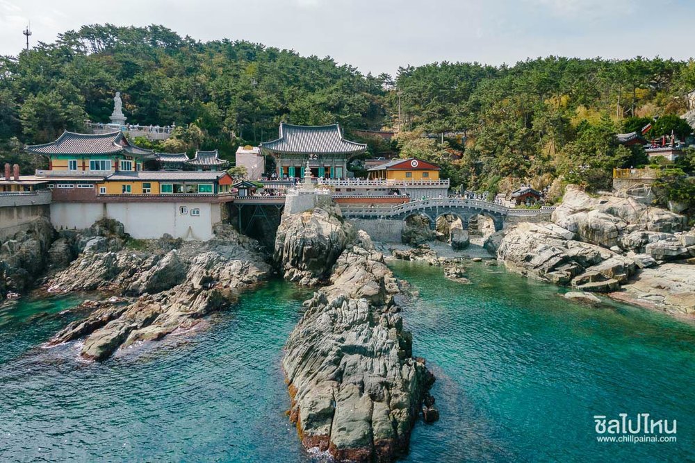 ขอบคุณภาพจาก: https://www.chillpainai.com/scoop/14850/