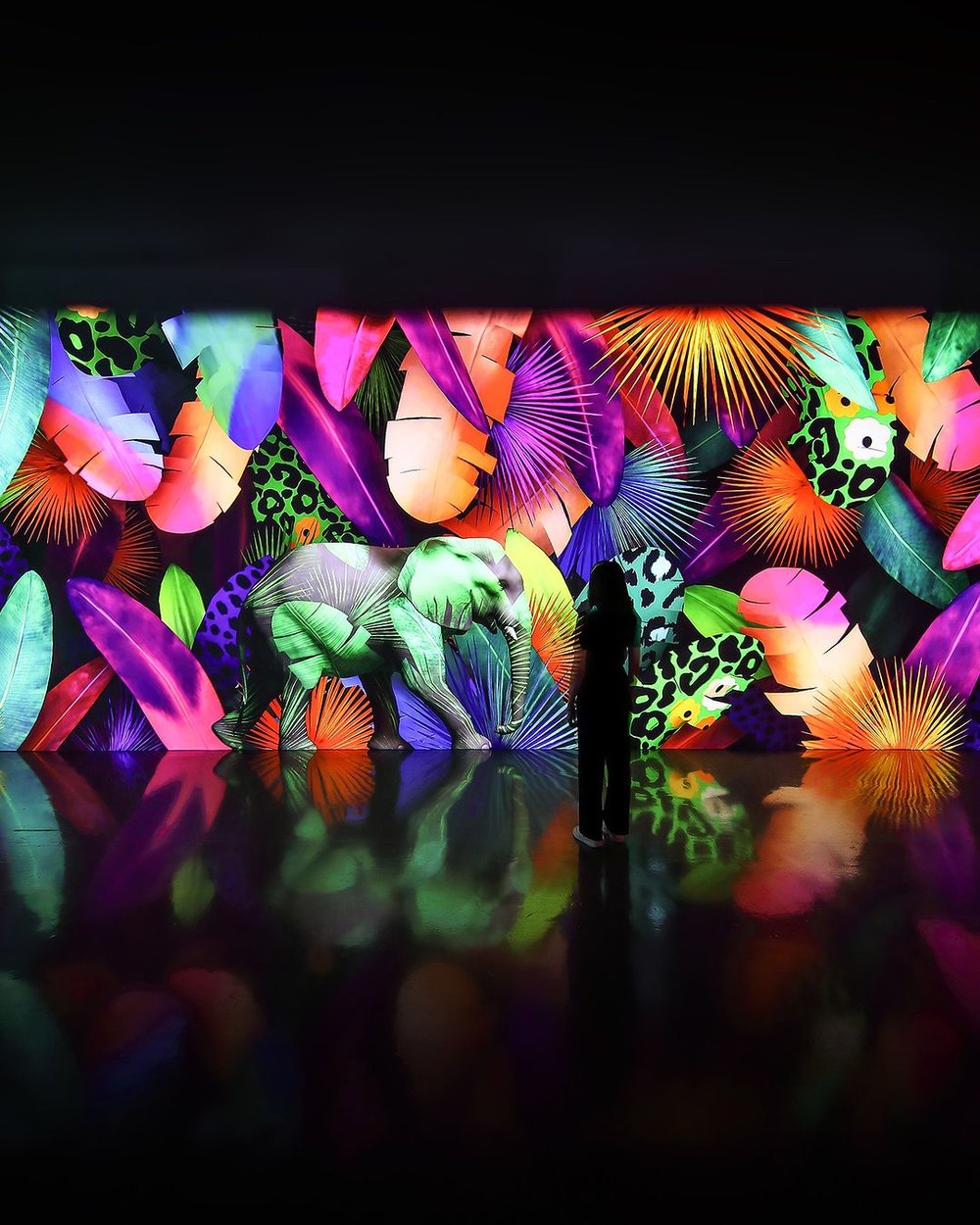 An elephant in different color