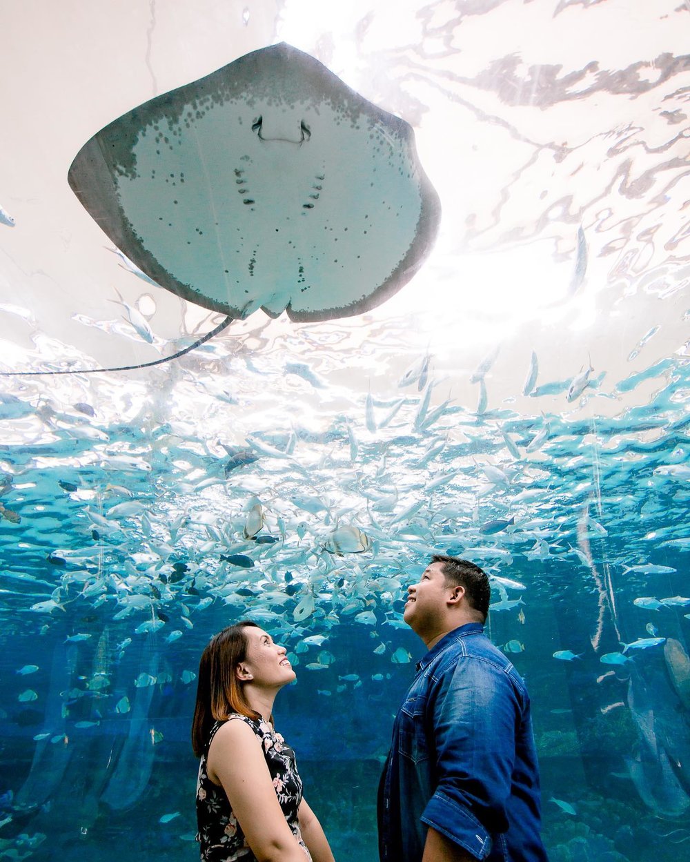 Couple looking up in a sting ray