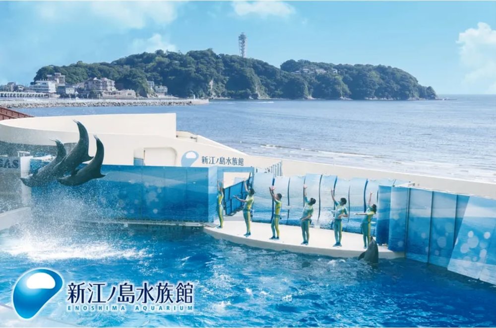 鎌倉江之島 鎌倉景點 鎌倉高校前 鎌倉交通 鎌倉美食 水族館