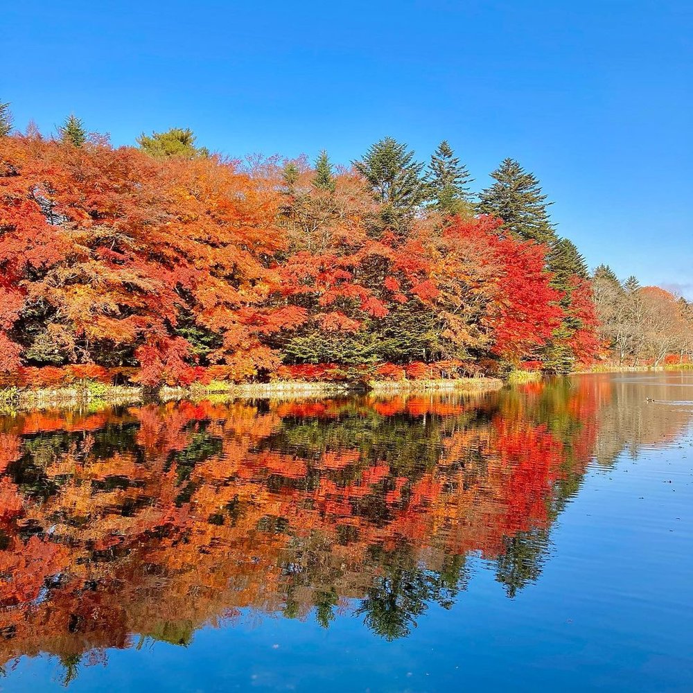 輕井澤景點 輕井澤自由行 輕井澤一日遊 交通 溫泉酒店
