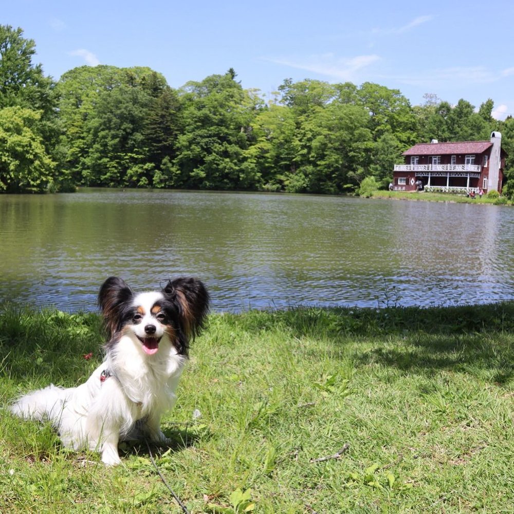 輕井澤景點 輕井澤自由行 輕井澤一日遊 交通 溫泉酒店