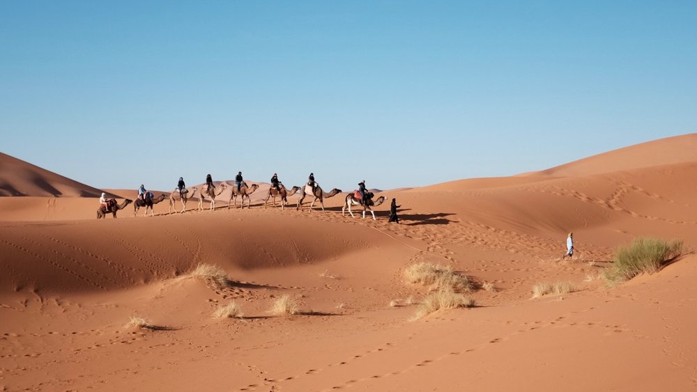 a group of people riding camels
