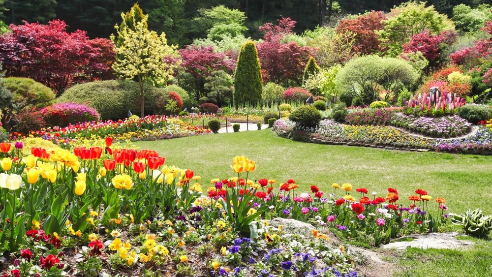 the beautiful scenery at Garden of Morning Calm