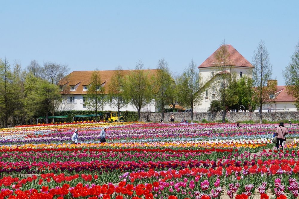 滋賀農業公園ブルーメの丘