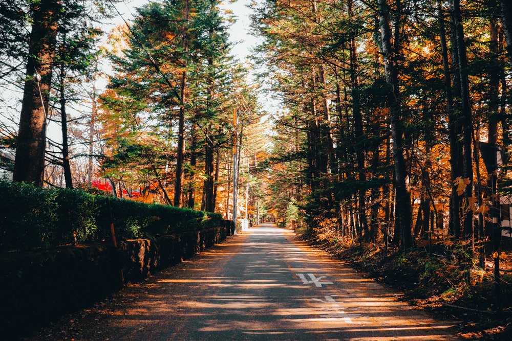 輕井澤景點 輕井澤自由行 輕井澤一日遊 交通 溫泉酒店