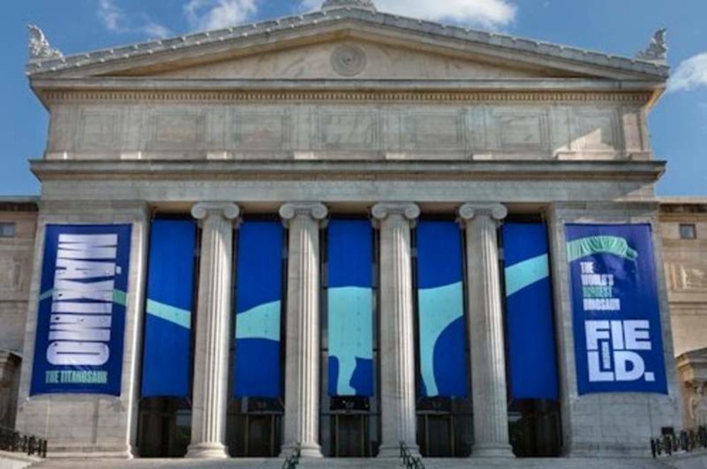 芝加哥景點|芝加哥菲爾德自然歷史博物館